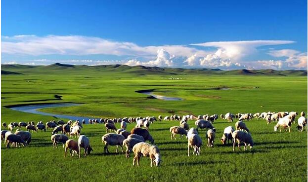 内蒙古制糖行业创61年新高 量价齐增